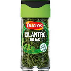 Imagen de Hojas de cilantro fresco
