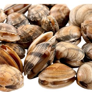 Imagen de Almeja fina congelada a granel