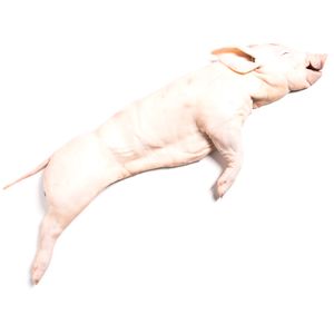 Cochinillo (3-4 kg aproximadamente) baja un 35% en BM Supermercados