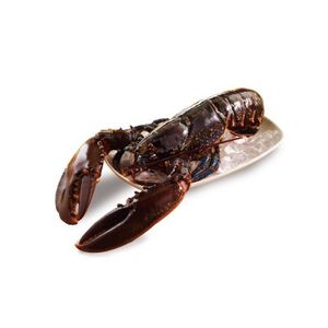 Bogavante 500g (entrega fin de semana) baja un 25% en BM Supermercados