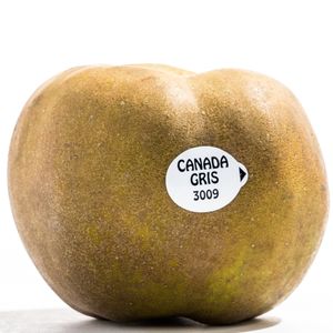 Imagen de Manzana reineta parda a granel(300 g aprx)