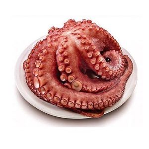 Imagen de Pulpo cocido pequeño (1 kga prox)