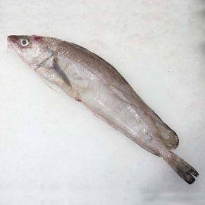Locha (1 kg aprox/pieza) baja un 10% en BM Supermercados