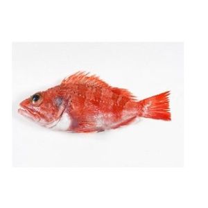 Cabracho (750 g aprox/pieza-sujeto disponibilidad) baja un 14% en BM Supermercados