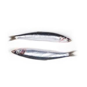 Anchoa del cantábrico baja un 10% en BM Supermercados