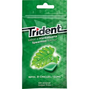 Imagen de Chicle sabor hierbabuena bolsa 43,5 grs